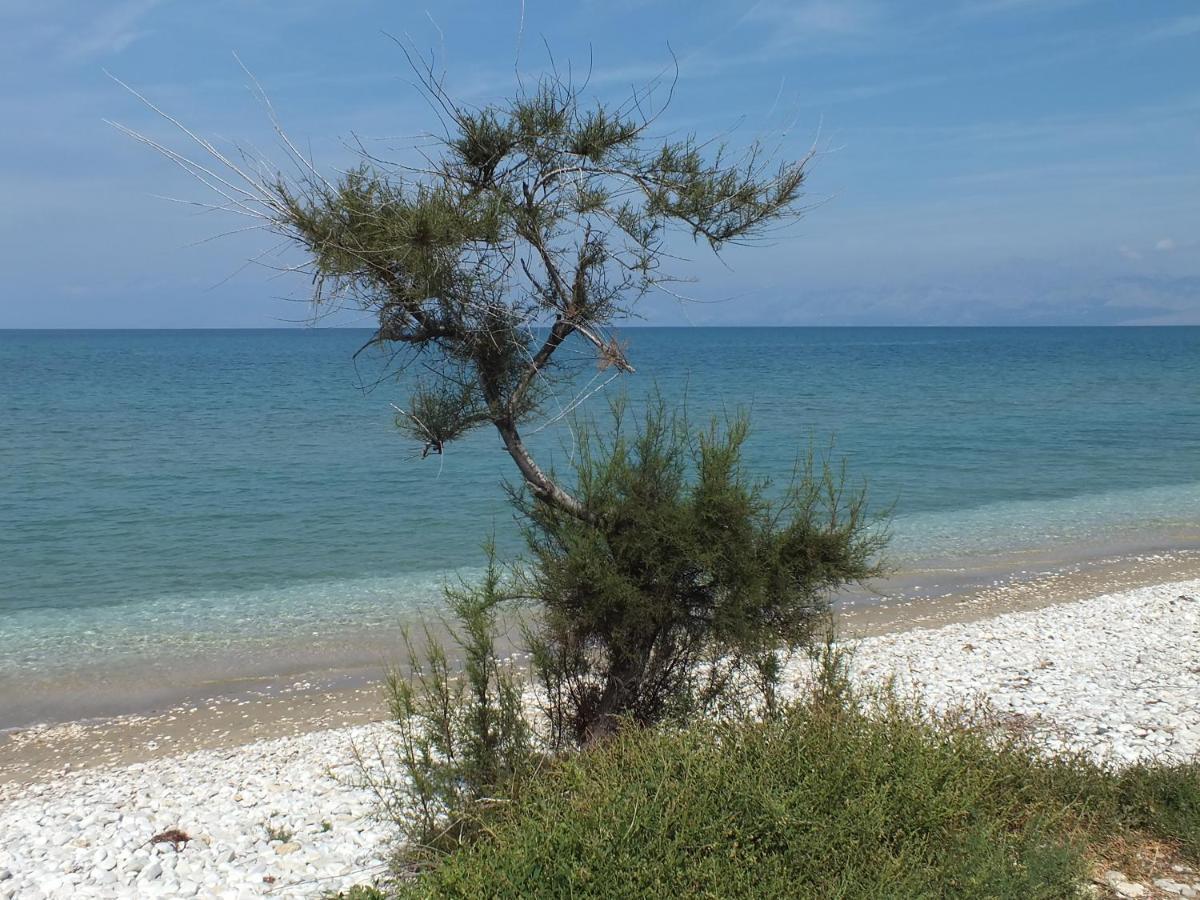 Frosos Beachfront Maisonette Acharavi อาคาราวี ภายนอก รูปภาพ